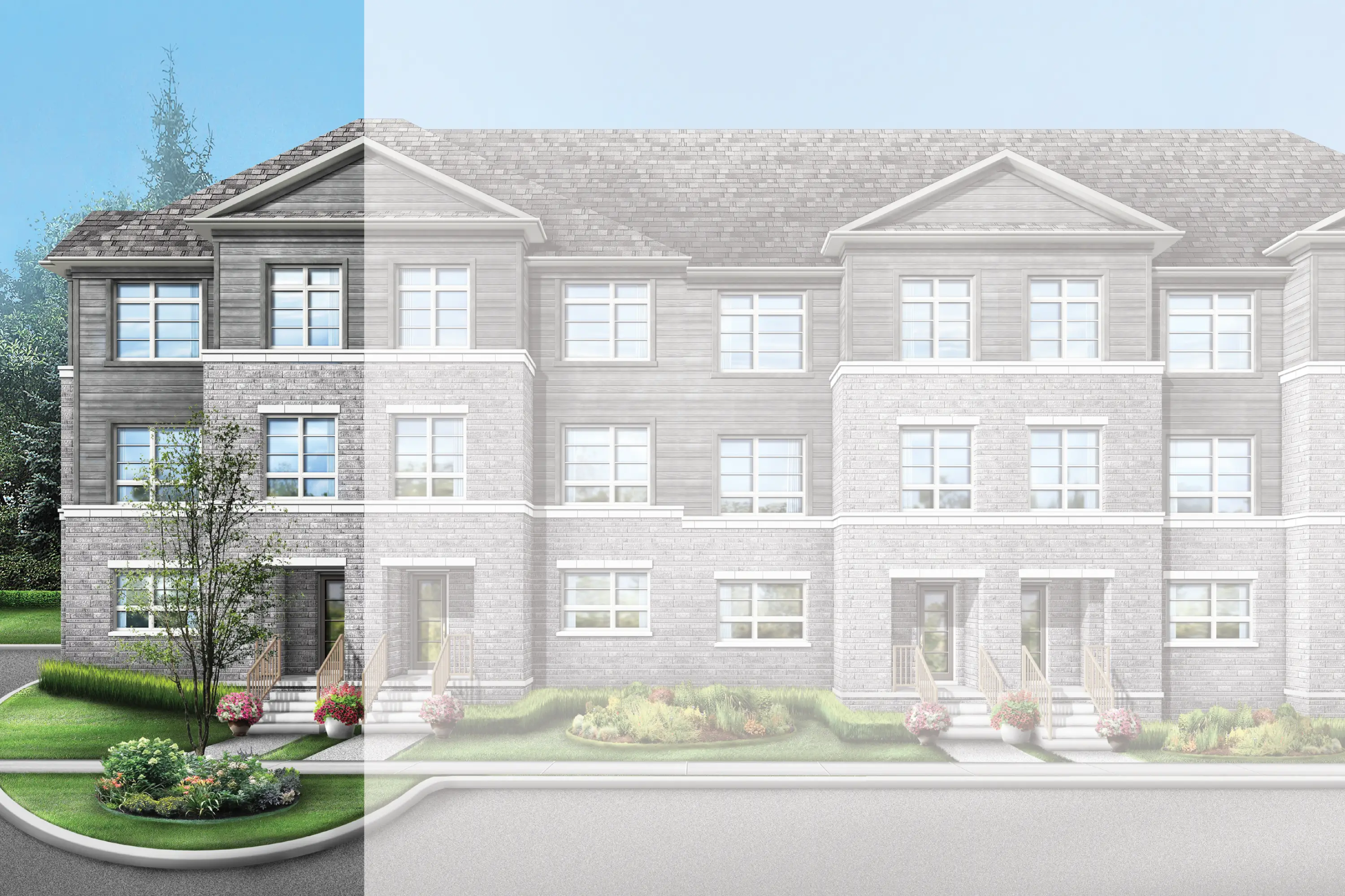 Coral 30 Elev. 2 Rendering